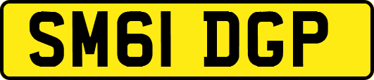 SM61DGP