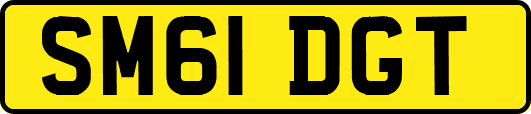 SM61DGT