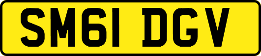 SM61DGV