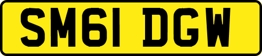 SM61DGW