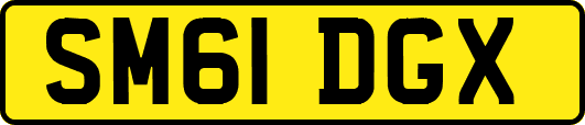 SM61DGX