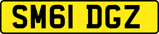 SM61DGZ