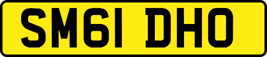 SM61DHO