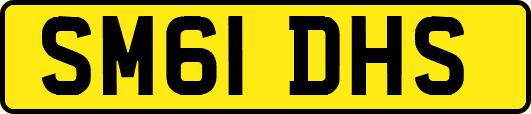 SM61DHS