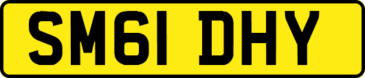 SM61DHY