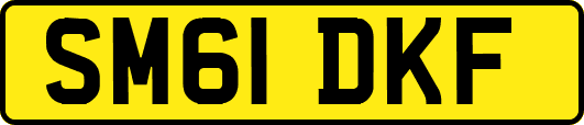 SM61DKF
