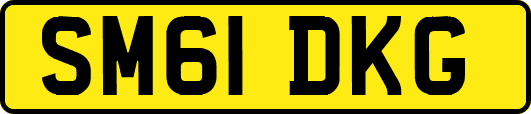 SM61DKG
