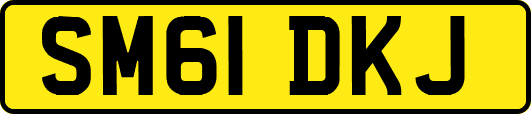 SM61DKJ