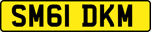 SM61DKM