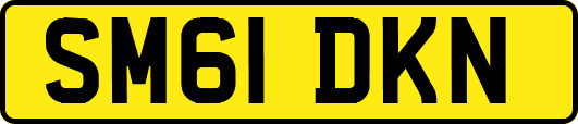 SM61DKN