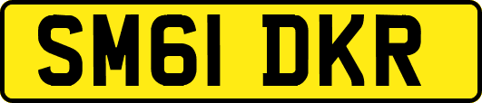 SM61DKR