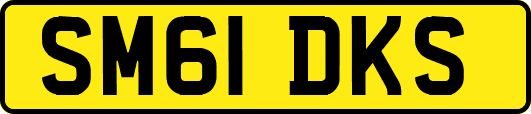 SM61DKS