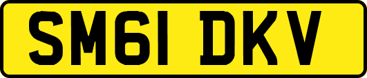 SM61DKV