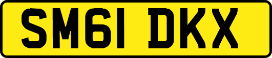 SM61DKX