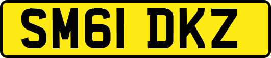 SM61DKZ
