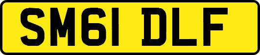SM61DLF