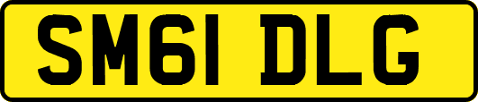 SM61DLG