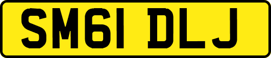 SM61DLJ