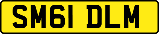SM61DLM