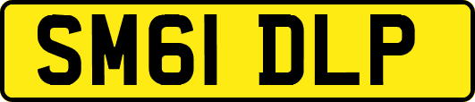 SM61DLP