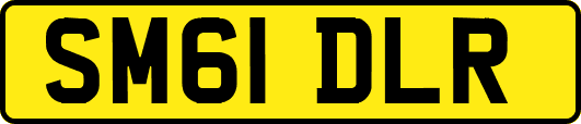 SM61DLR