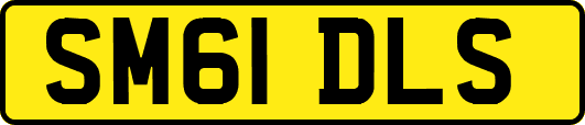 SM61DLS