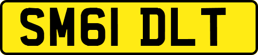 SM61DLT