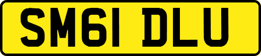 SM61DLU
