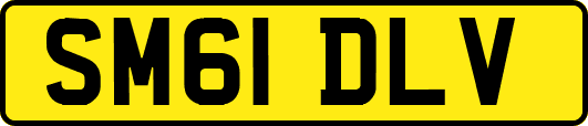 SM61DLV
