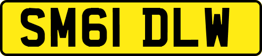 SM61DLW