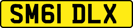 SM61DLX