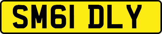SM61DLY