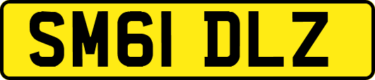 SM61DLZ
