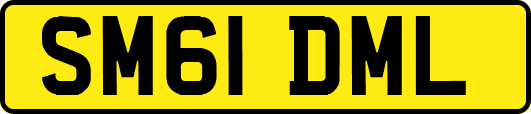 SM61DML