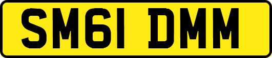 SM61DMM