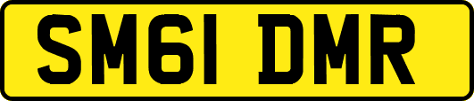 SM61DMR