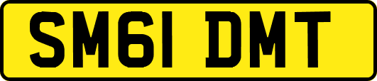 SM61DMT