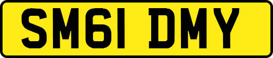 SM61DMY