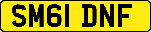 SM61DNF