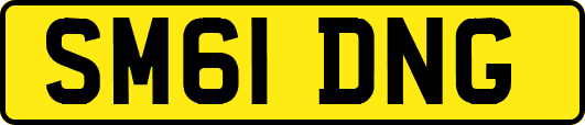 SM61DNG