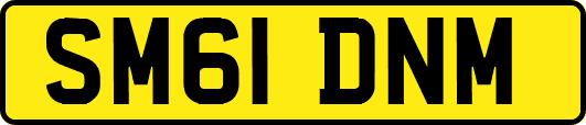 SM61DNM