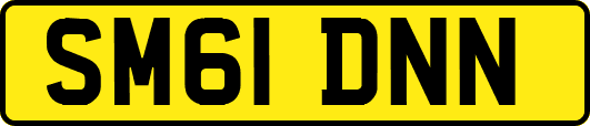 SM61DNN