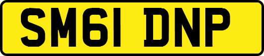 SM61DNP