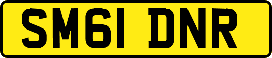 SM61DNR