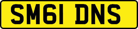 SM61DNS