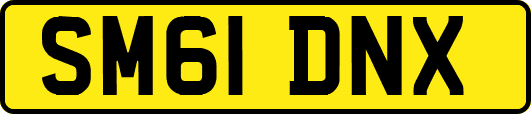 SM61DNX