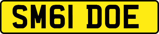 SM61DOE