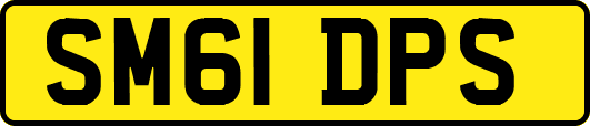 SM61DPS