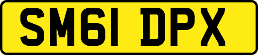 SM61DPX