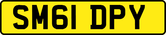 SM61DPY
